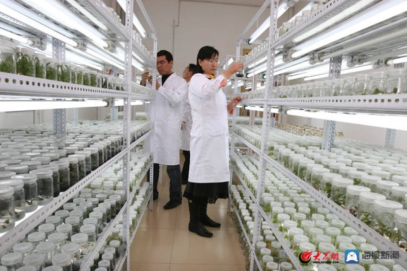 教程指南类：如何高效使用厦门出入境检验检疫技术中心官网