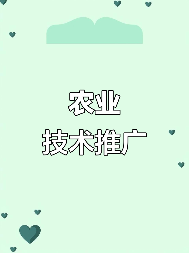 如何打造一个吸引人的官网网站？——深圳市五州田农业科技开发有限公司的经验分享