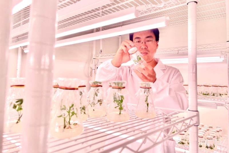 深圳市五州田农业科技开发公司的名字，听起来就像是农业界的明星企业！今天我们就来聊聊如何为这样的农业科技开发公司起个响亮的名字。